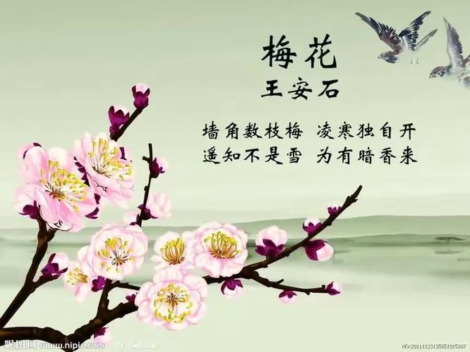 初春的千古佳句缩略图