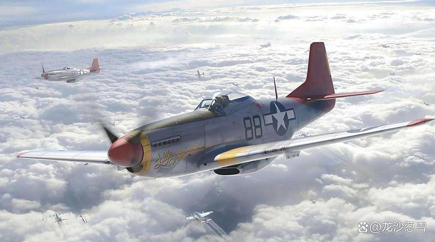 p51vsfw190缩略图