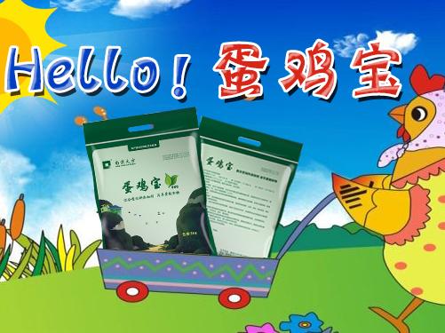 全国蛋鸡养殖项目游戏截图