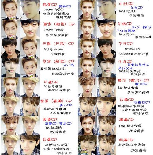 exo的对家是什么意思啊缩略图