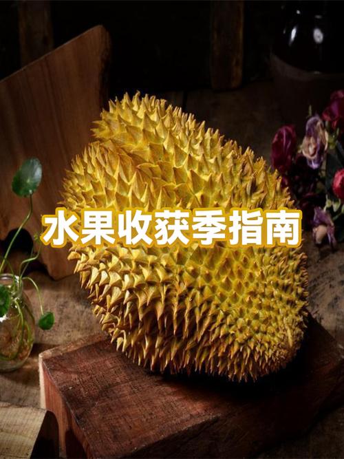 小西红柿是什么季节的水果缩略图