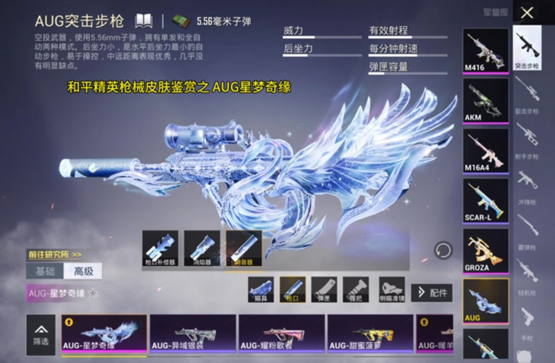 和平精英Aug有什么枪皮游戏截图