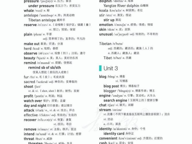 高中英语单词音频mp3图标