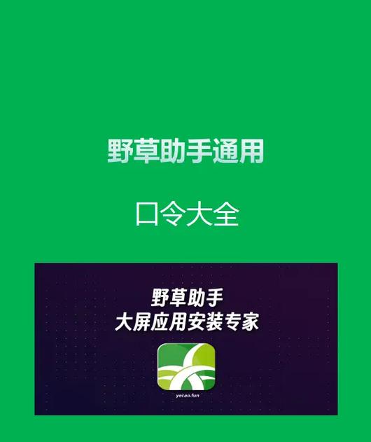 野草口令成人口诀大全游戏截图