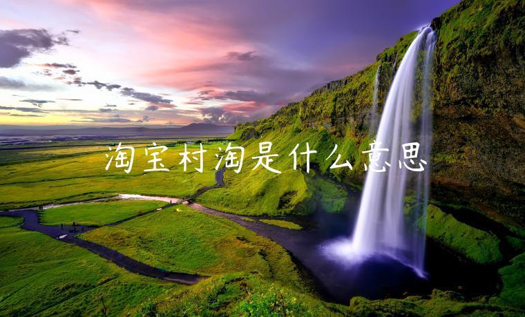 村淘是什么意思