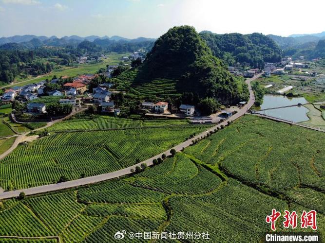 山中田园图标