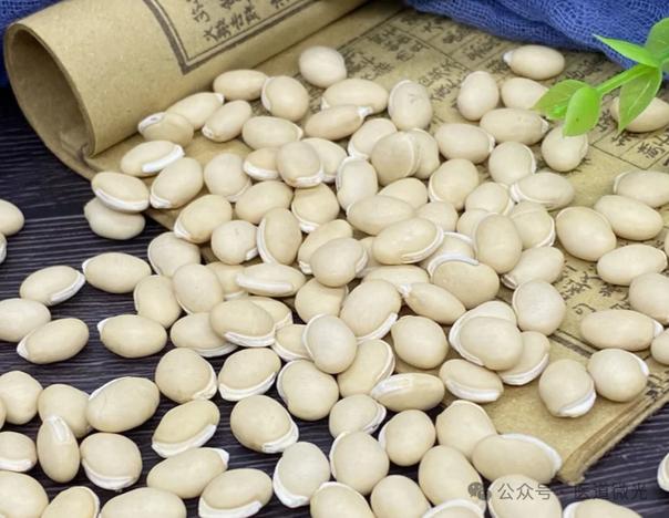 白扁豆治什么病最好图标