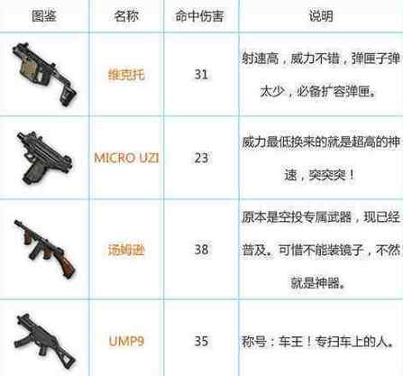 绝地求生有95式步枪吗