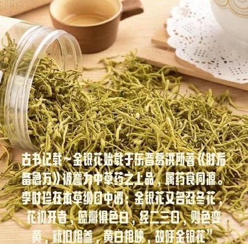 金银花是树还是藤游戏截图