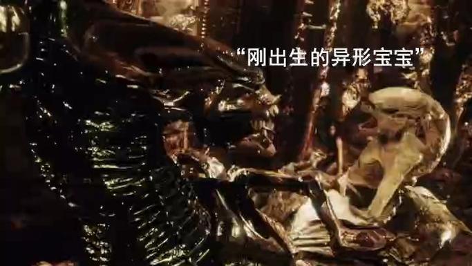 异形4全集在线观看缩略图