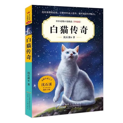 白猫小说免费版缩略图