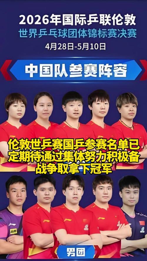 世乒赛2021参赛人员
