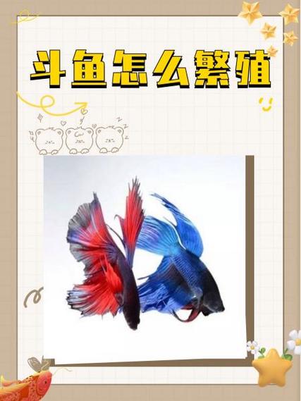 斗鱼一般几天喂一次游戏截图