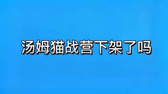 汤姆猫大冒险停服了吗图标