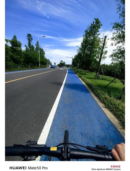 bluegogo小蓝单车