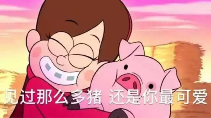 抱住猪猪表情包缩略图