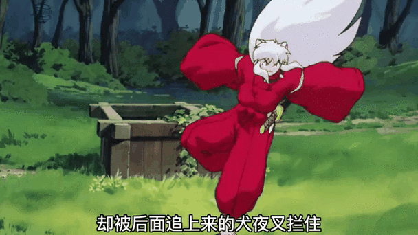 穿越到犬夜叉世界,开后宫之