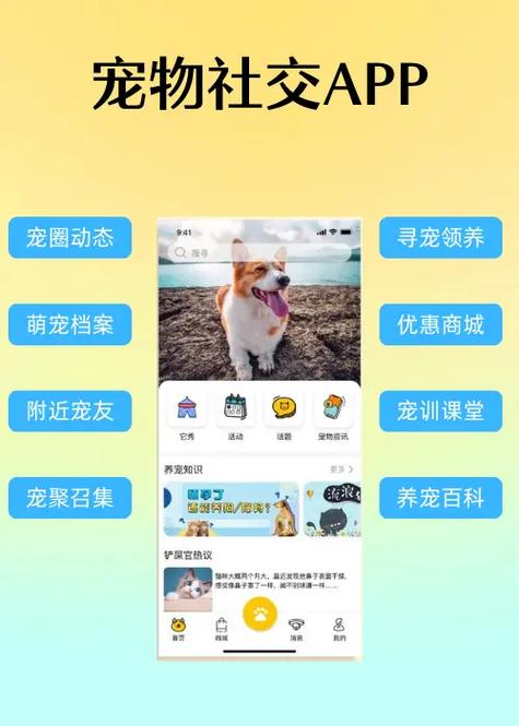 养什么宠物好养又干净缩略图