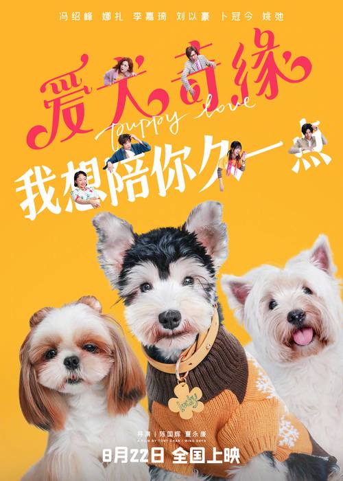 跟qq宠物差不多的游戏