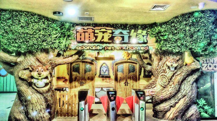 steam可以驯服宠物的游戏缩略图