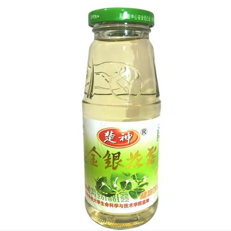 金银花露合集txt百度网盘