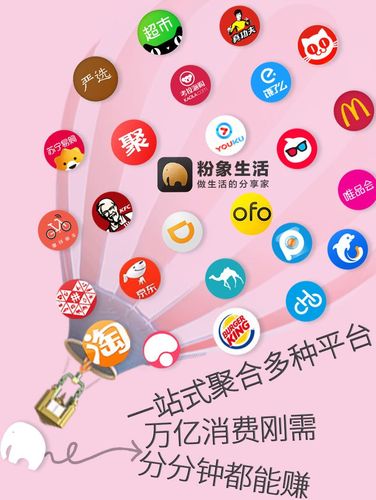 为什么成为粉象vip
