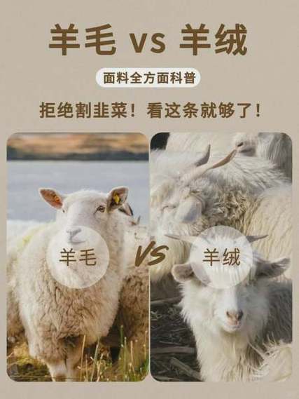 30羊毛和60羊毛区别缩略图