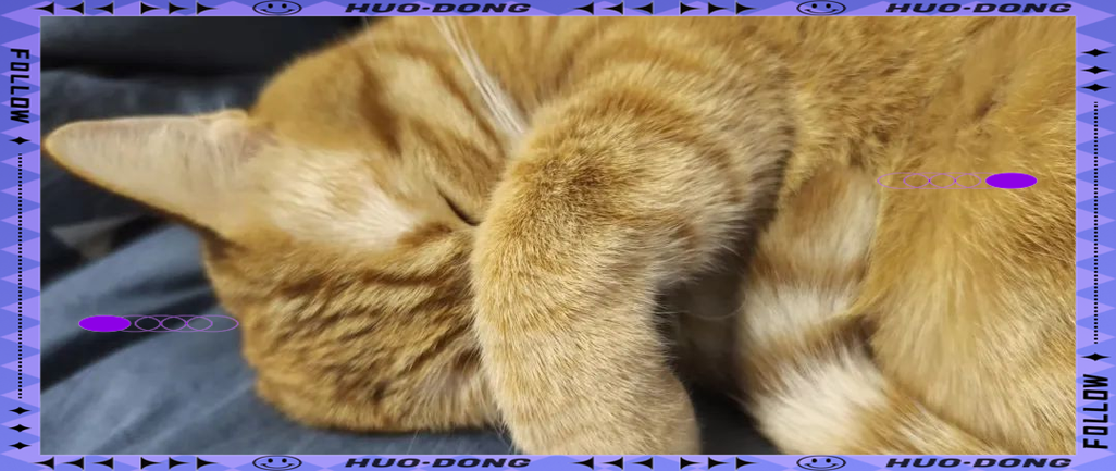 猫全身发抖站不起来怎么了