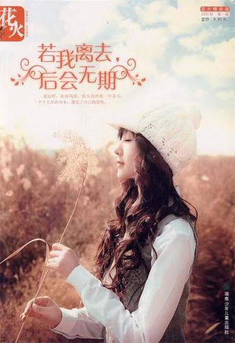 花火系列小说在线阅读