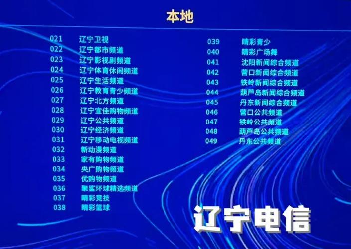 辽宁经济频道直播入口