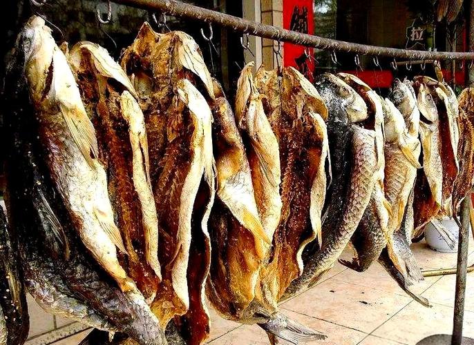 咸鱼放冷冻还是冷藏图标