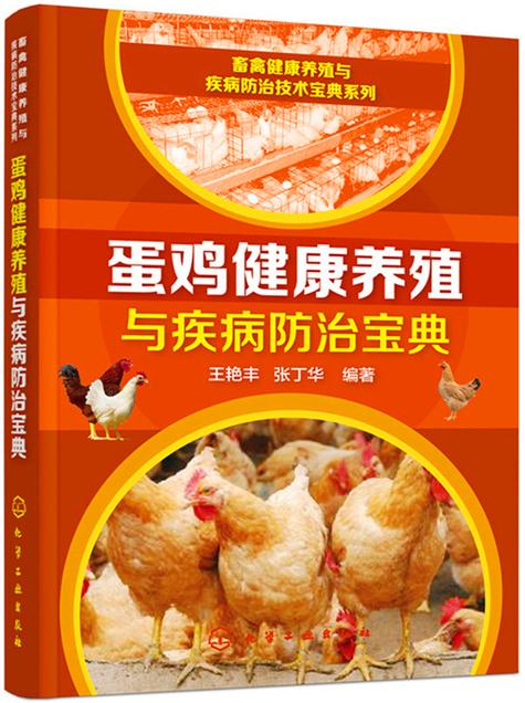 蛋鸡养殖图标