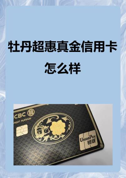 柳州银行白金卡额度多少游戏截图