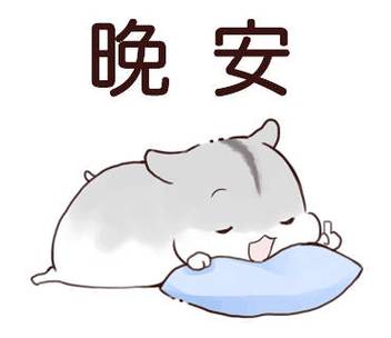 说晚安表情包图标