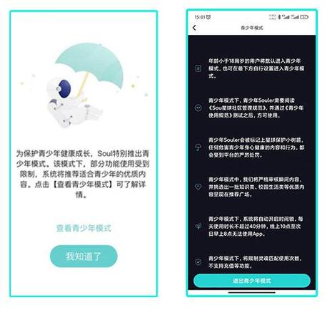 soul房主认证