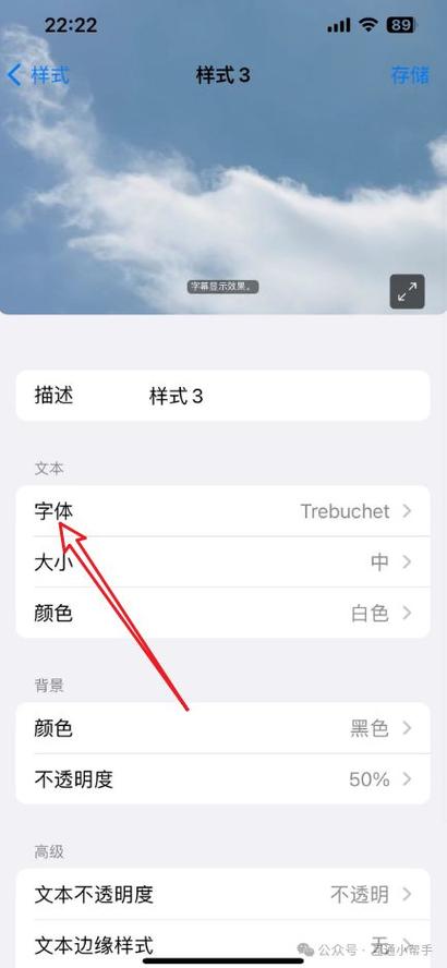 苹果手机字体大小标准是多少