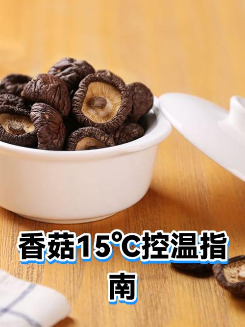 香菇有股臭味要警惕缩略图