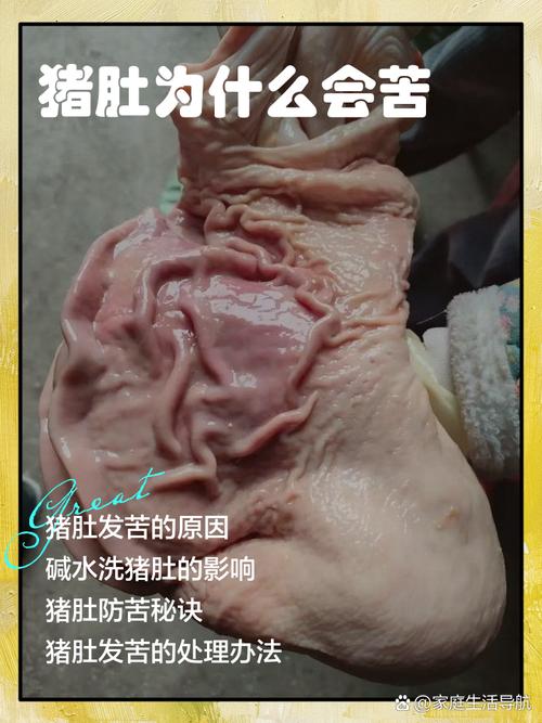 剖肚子文章(超长)下楼买菜图标
