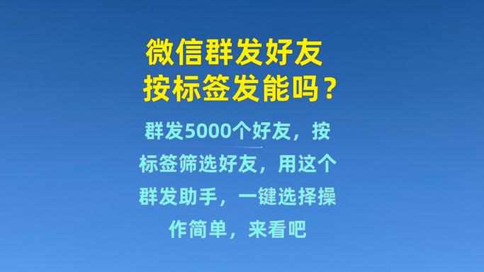 支付宝运动看不到好友排行