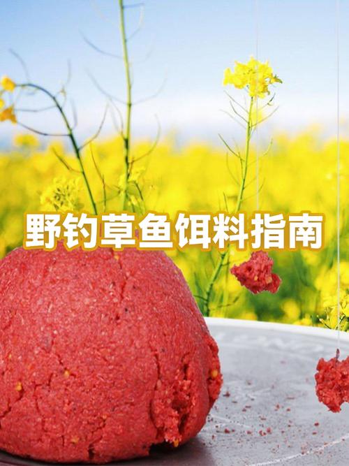 37和28哪个更适合野钓