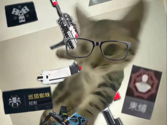 比特蜘蛛图片缩略图