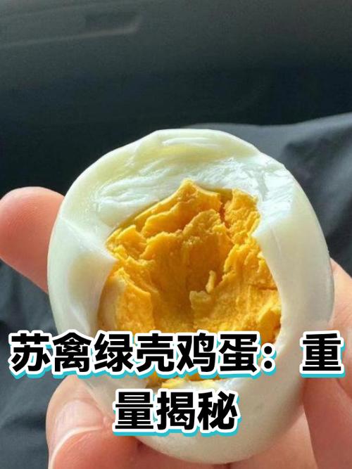 绿壳鸡蛋营养价值游戏截图