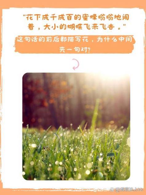蜜蜂文章缩略图