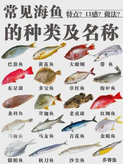 深海鱼品种大全图缩略图
