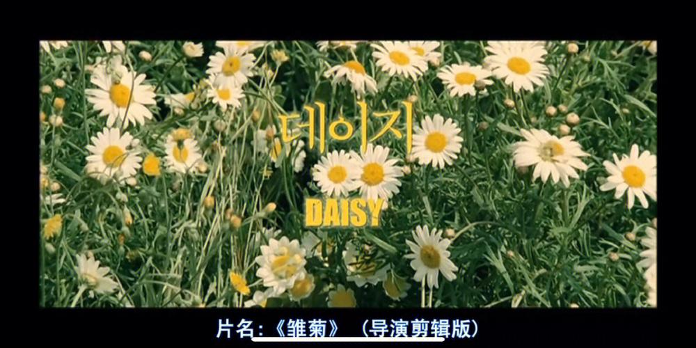 雏菊投资缩略图