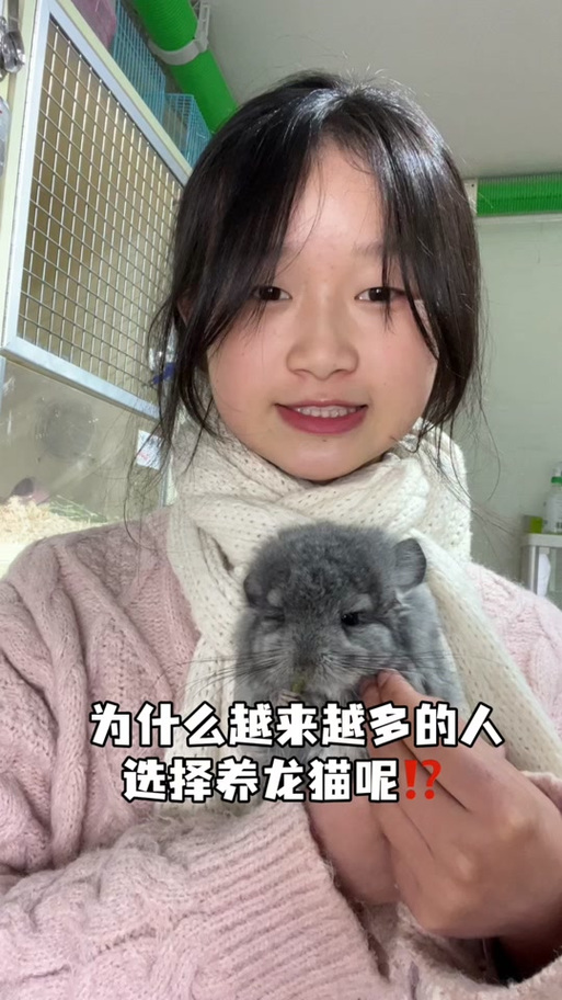 华为应用商店怎么找不到龙猫众包