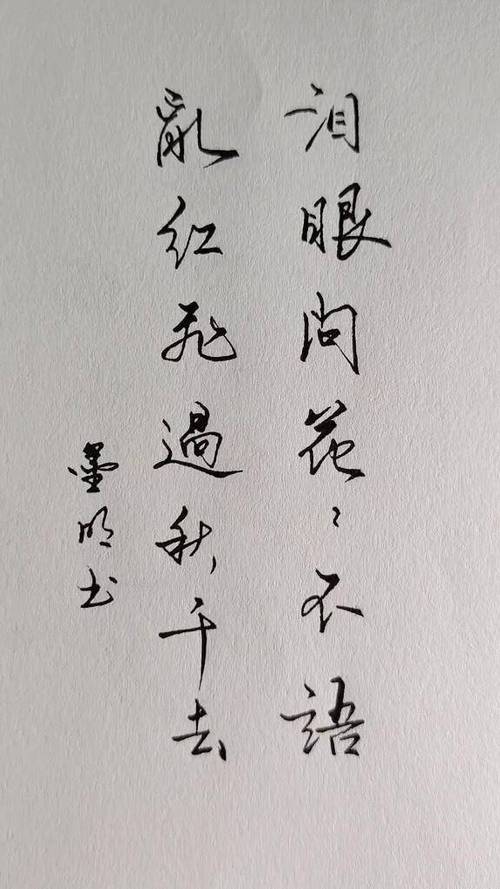 乱红飞过秋千短剧免费播放
