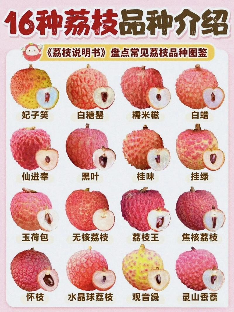 荔枝fm怎么才能有人气