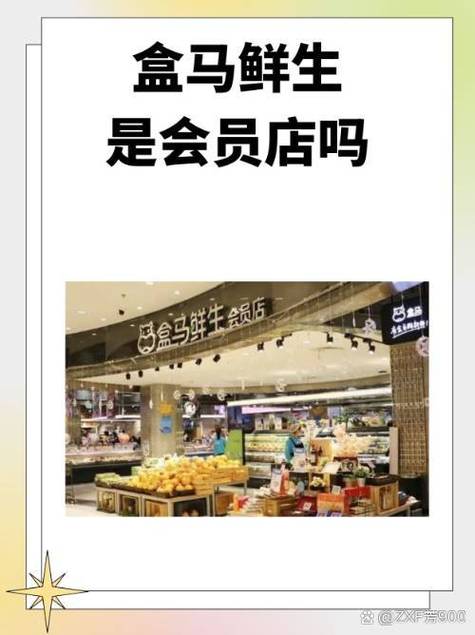 盒马会员与非会员区别游戏截图