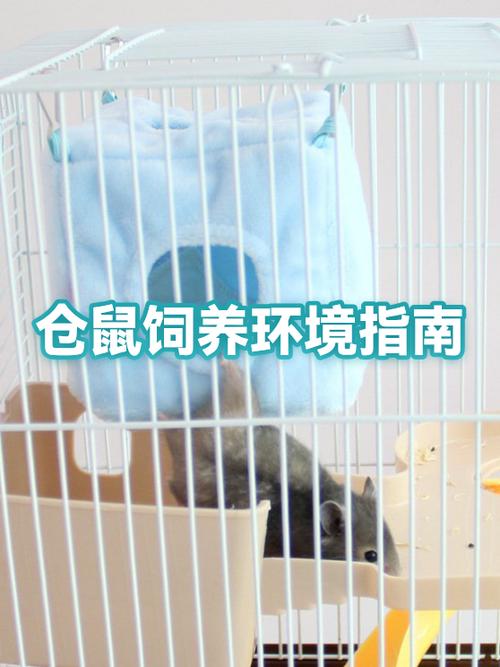 仓鼠最建议买的笼子